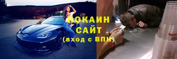 СК Богородск