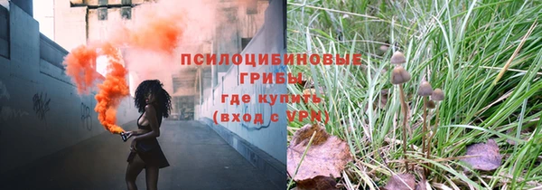 СК Богородск