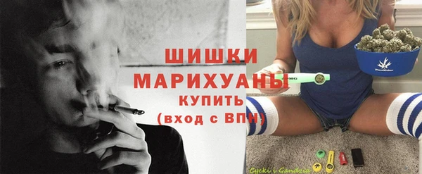 тгк Богородицк